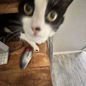 Meet your Posher, Elijah